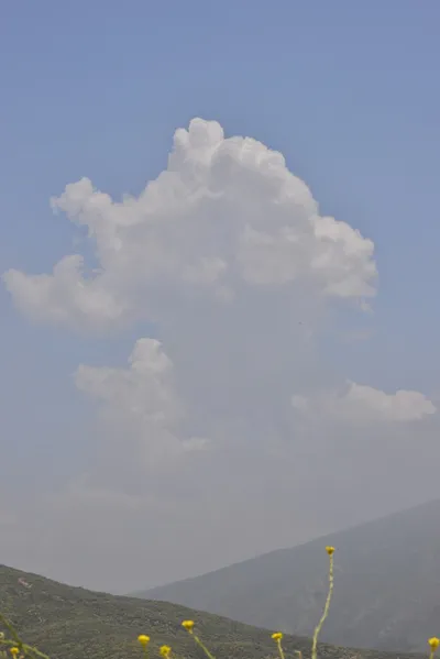 DSC_6891 (Large).JPG